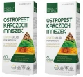 2 x Ostropest + Karczoch + Mniszek.png