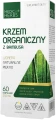 Krzem organiczny z bambusa.png