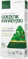 Gorzknik kanadyjski, Medica Herbs.webp