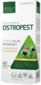 Ostropest, Medica Herbs.webp