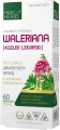 Waleriana (Kozłek lekarski), Medica Herbs.webp
