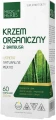Krzem organiczny z bambusa, Medica Herbs.webp