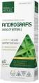 Andrografis (King of bitters), Medica Herbs.webp