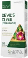 Devil's claw (Czarci pazur), Medica Herbs.webp