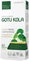 Gotu Kola, Medica Herbs.webp