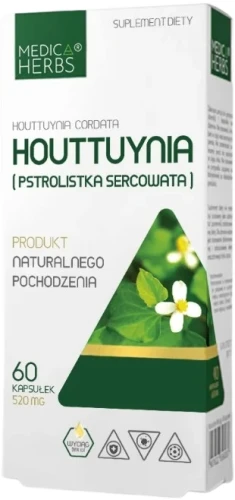 Houttuynia (Pstrolistka sercowata), Medica Herbs.webp