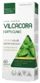 Vilcacora (Cat's Claw), Medica Herbs.webp