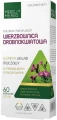 Wierzbownica drobnokwiatowa, Medica Herbs.webp