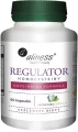 Regulator homocysteiny 60 VEGE caps Aliness.webp
