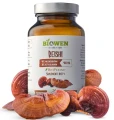 Reishi 400 mg - 40% polisacharydów, 30% beta-glukanów - kapsułki 90szt, Biowen.webp