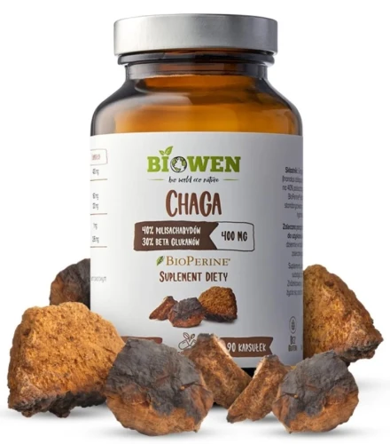 Chaga 400 mg - 40% polisacharydów, 30% beta-glukanów - kapsułki 90szt, Biowen.webp
