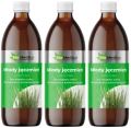 3 x Młody Jęczmień 0,5L, EkaMedica.webp