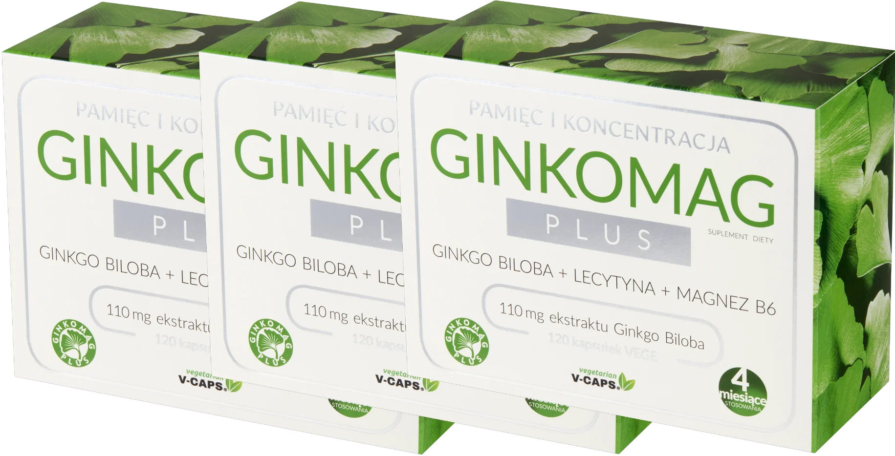 Гинкго билоба и магний Xenico Ginkomag Plus, для кровообращения в мозге, 3 упаковки по 120 капсул